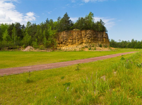 Zagłosuj na Jaworzno