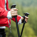 Rajd Nordic Walking