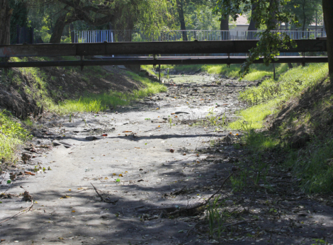 Hydrogeolog zbada Kozi Bród