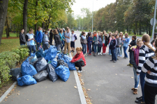 Sprzątanie Jaworzna