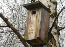 Budki przygotowane dla ptasich lokatorów