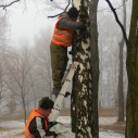 Budki przygotowane dla ptasich lokatorów