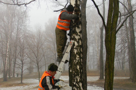 Budki przygotowane dla ptasich lokatorów