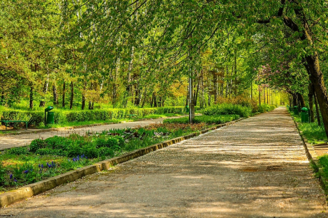 Zaprojektuj swój Park Lotników