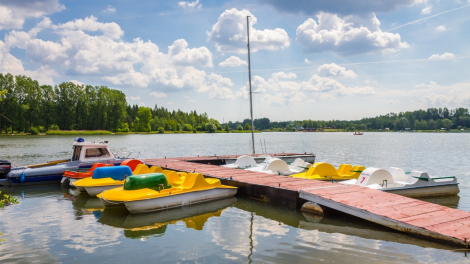 Zaprojektują „Sosinę”