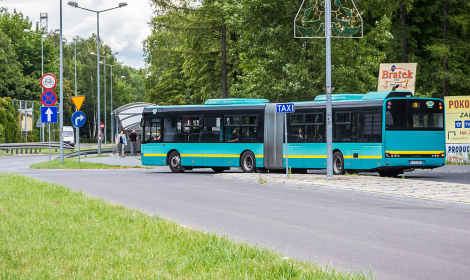 Autobusy podczas Touru