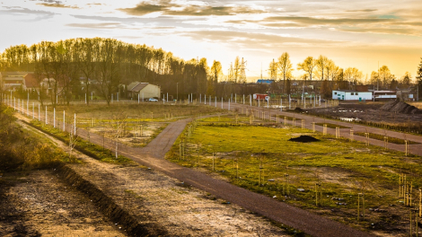 Przetarg na Planty rozstrzygnięty