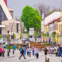 Kalendarz wydarzeń na Rynku