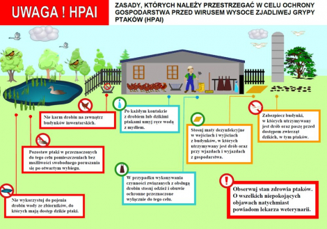 Zasady, których należy przestrzegać w celu ochrony gospodarstwa przed wirusem grypy ptaków HPAI