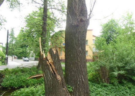 fot. Miejski Zarząd Dróg i Mostów