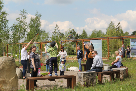 Piknik rodzin zastępczych