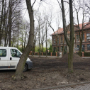 Powstaje rynek w Dąbrowie Narodowej