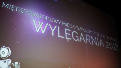 Finał międzynarodowej Wylęgarni