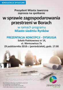 Prezentacja i dyskusja dot. przestrzeni w Borach