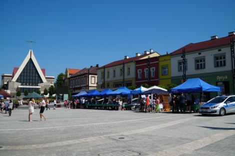 Wakacyjne Targi Pracy