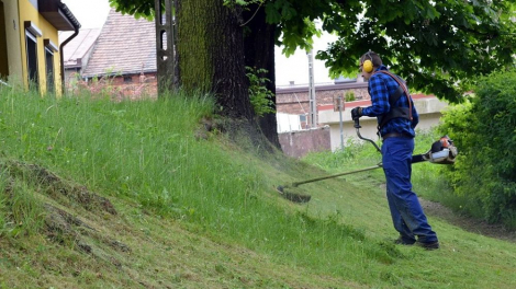 Konsorcjum AVR/MIKI wznawia wywóz odpadów biodegradowalnych