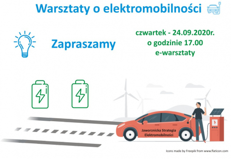 Spotkanie konsultacyjne online dot. elektromobilności