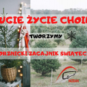 Drugie życie świątecznej choinki