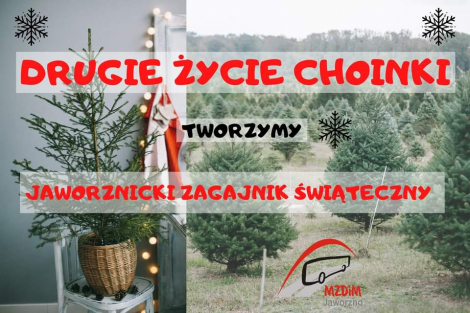 Drugie życie świątecznej choinki