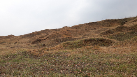 Ochrona muraw galmanowych na Sadowej Górze oraz w rejonie Długoszyna
