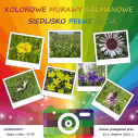 Konkurs fotograficzny Kolorowe murawy galmanowe - siedlisko pełne życia