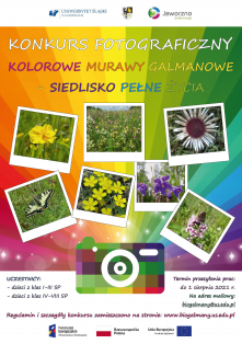 Konkurs fotograficzny Kolorowe murawy galmanowe - siedlisko pełne życia