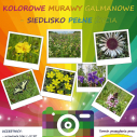 Konkurs fotograficzny Kolorowe murawy galmanowe-siedlisko pełne życia - wydłużenie terminu