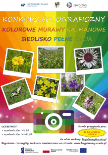 Konkurs fotograficzny Kolorowe murawy galmanowe-siedlisko pełne życia - wydłużenie terminu