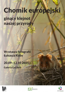 Chomik europejski - ginący klejnot naszej przyrody. Wystawa fotografii Łukasza Koby